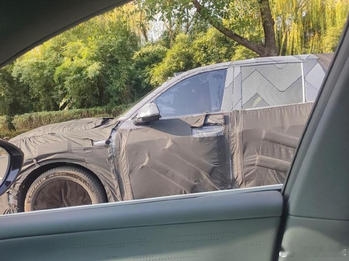 我就看看不说话电动兄弟