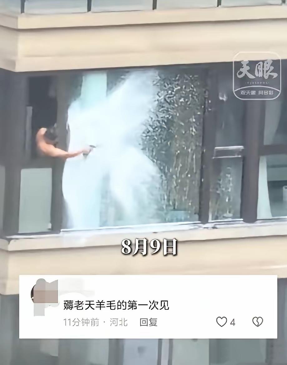 真的长见识了，平日里形形色色薅福利薅优惠的人不少，可薅台风羊毛这位小哥属实让