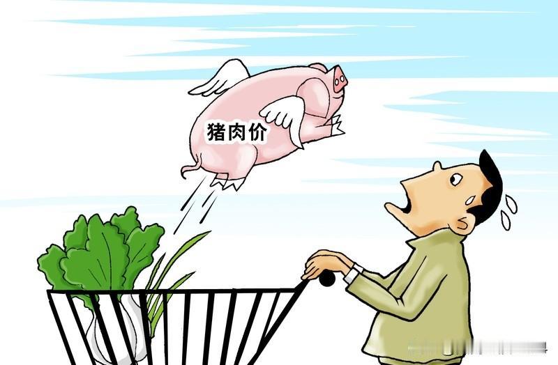 为什么现在的猪肉不香了现在好多人都觉得猪肉没以前香了，这和养殖变化脱不了干系。