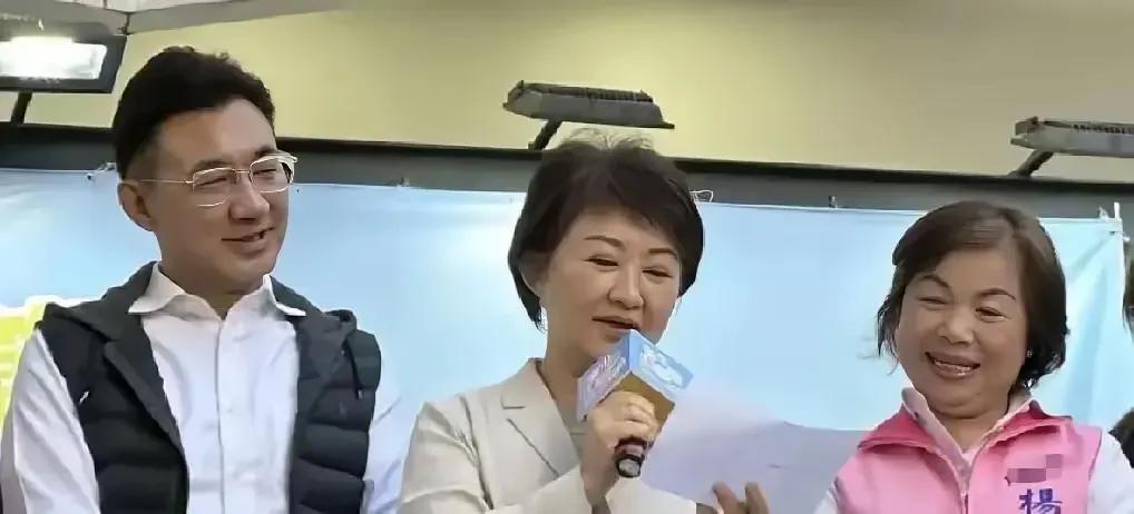 卢秀燕这下是真的急眼了，她竟然直接向自家党主席郑丽文下达了“最后通牒”。昨天，她