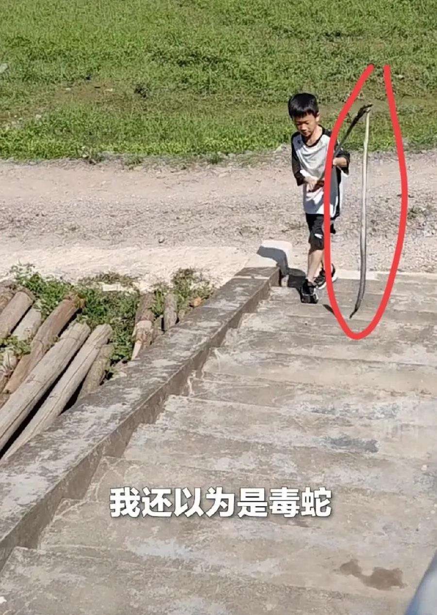 以前有个说法，动物要成精，不仅要讨封，也要过童关！蛇做梦也没想到会栽到一个小屁
