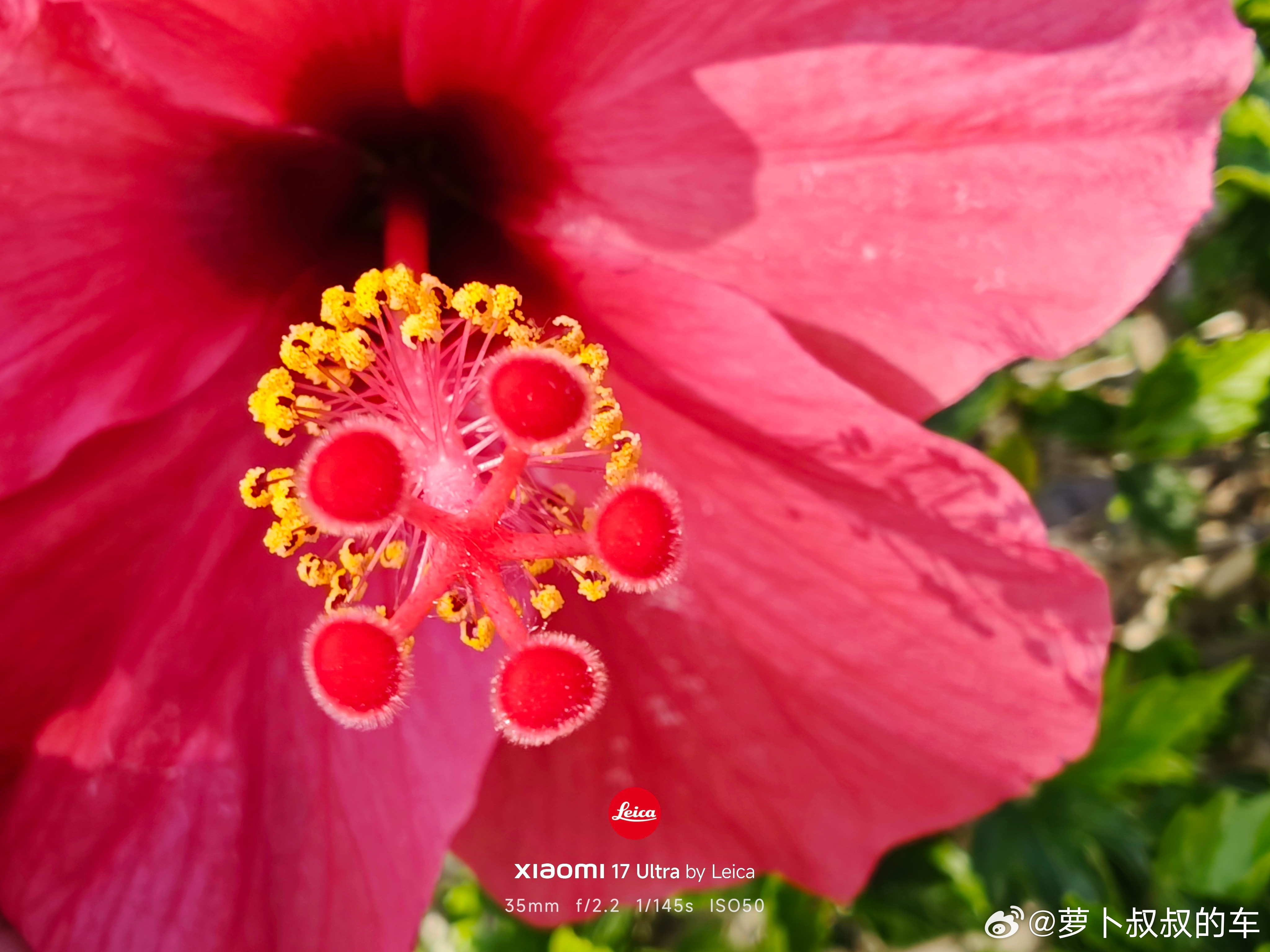 南沙这天气真的太舒服了，阳光无限好，未来风光无限。广州·南沙滨海公园