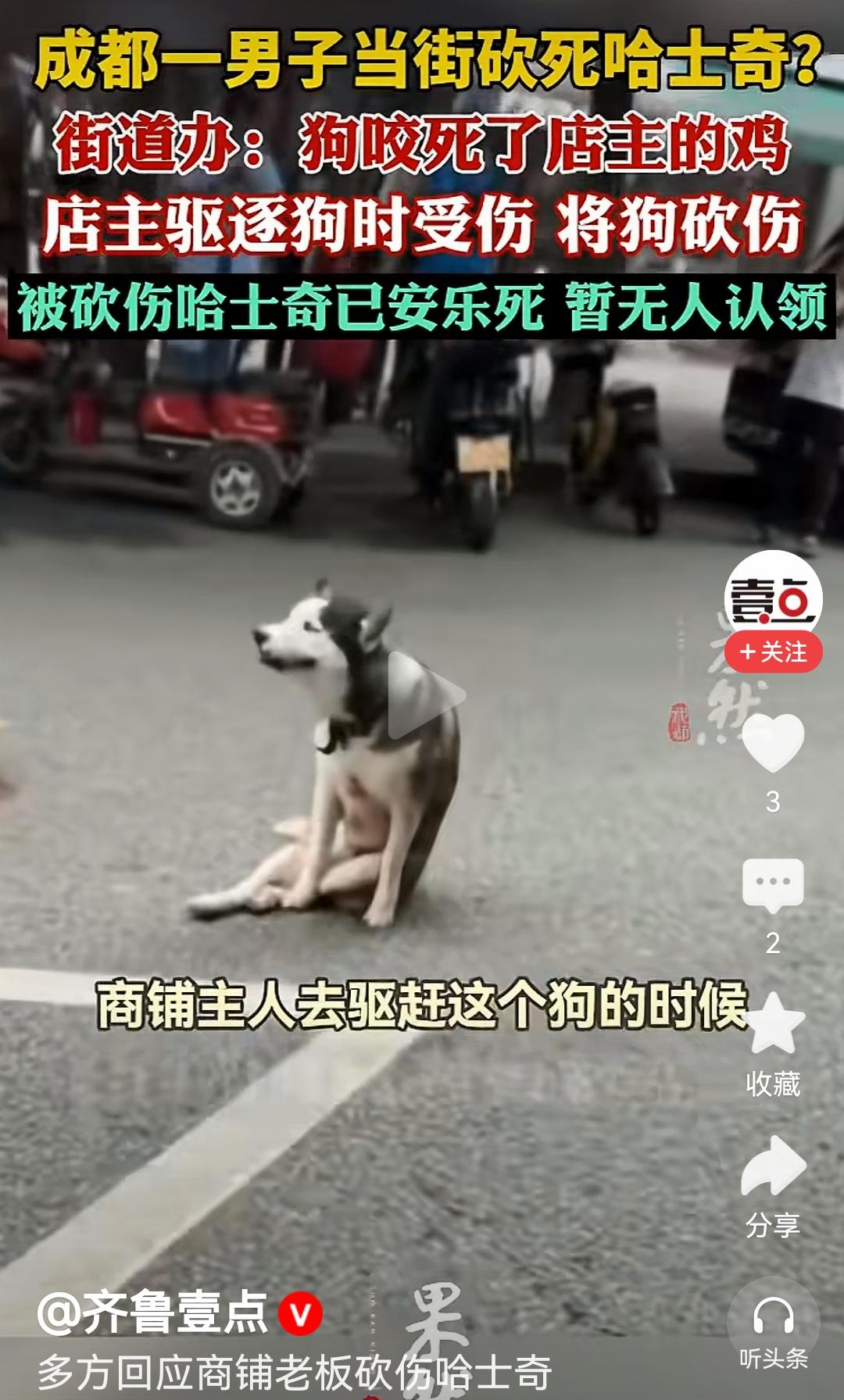 建议店主报警起诉放花圈的人！他们已经涉嫌寻衅滋事。店内鸡被咬死了，他们没有出