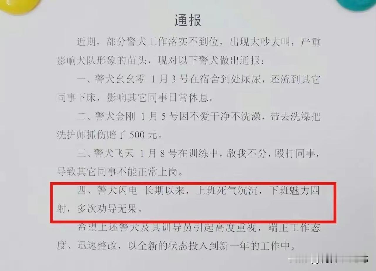 这怎么整改[捂脸哭]