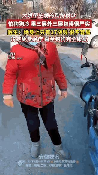 万万没想到！大娘揣着17块带狗看病，裹成“小粽子”的毛孩子看哭全网！街边的宠