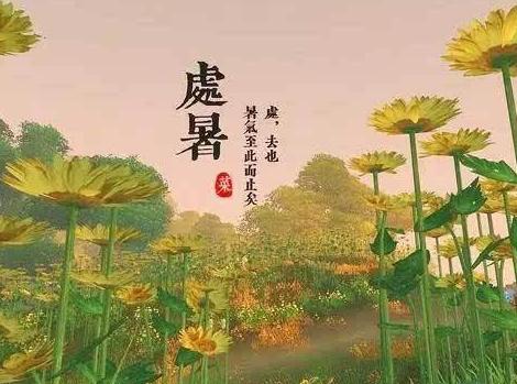 明日处暑，老人说最怕“处暑一天雨”，处暑下雨有啥预兆？明日处暑。8月23日10