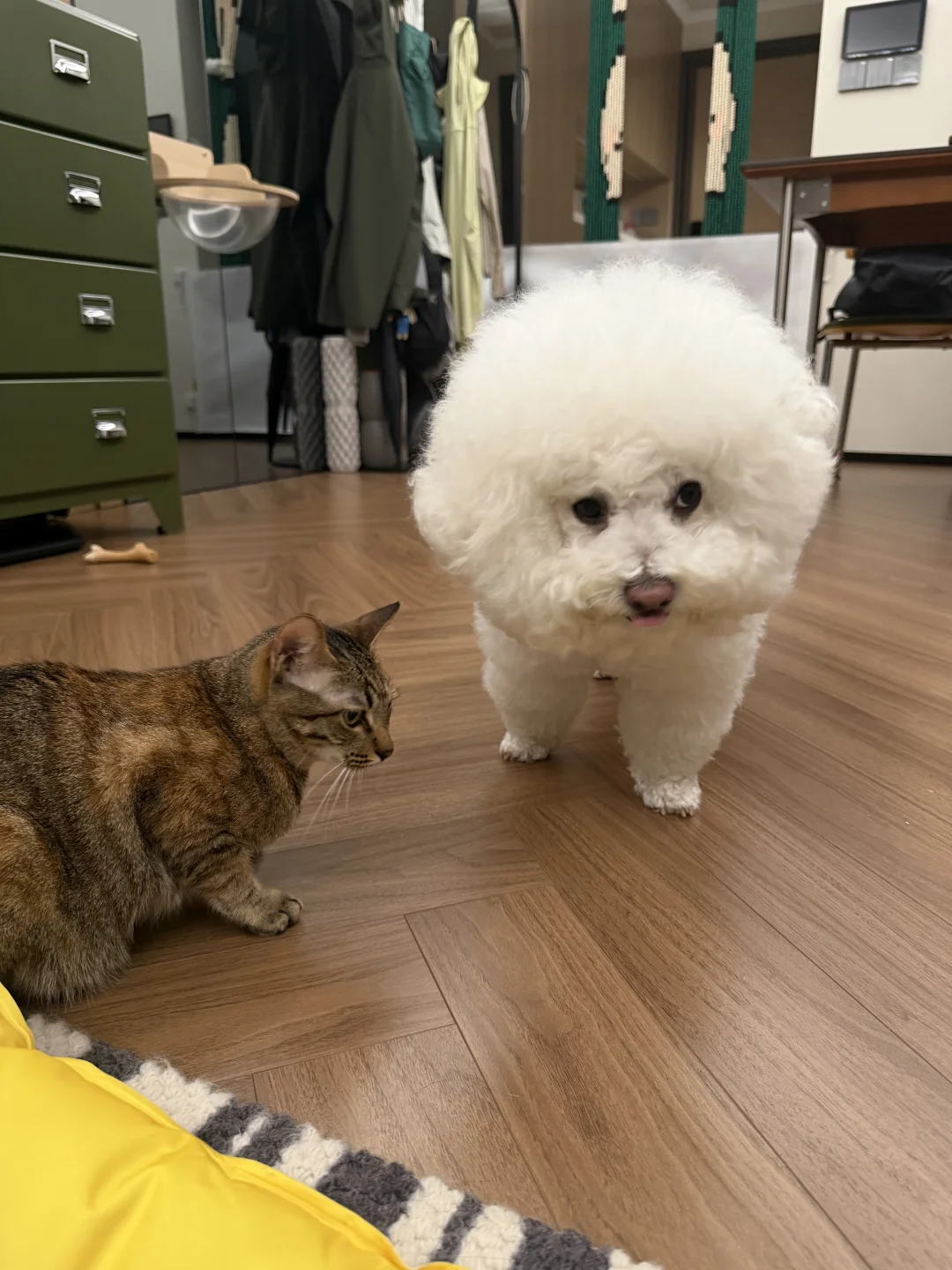 气氛有点尴尬