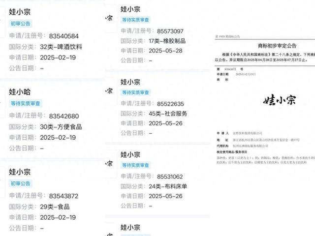 娃哈哈或启用新品牌, 半年前已注册“娃小宗”商标