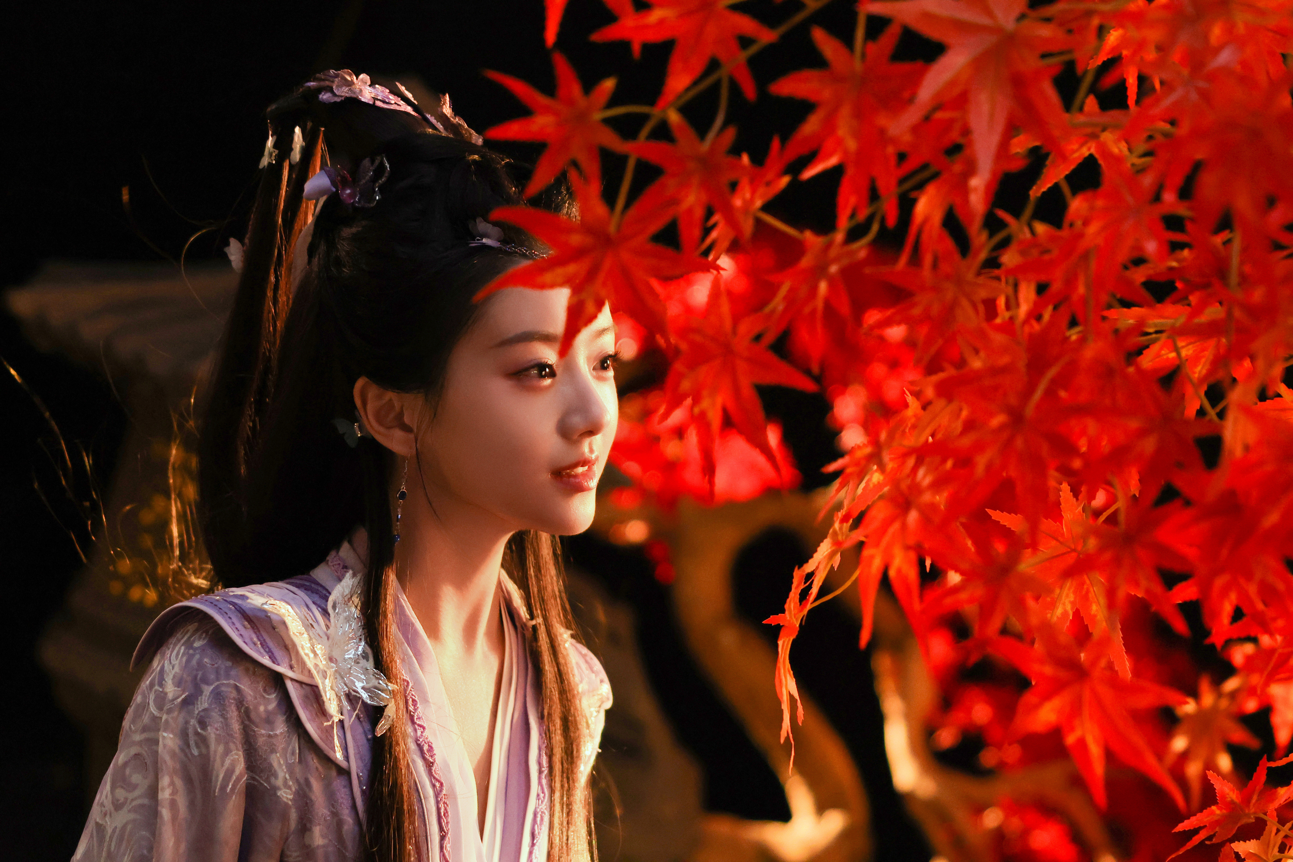 似火燃枝映九霄🍁四舍五入,算是和钟女侠一起赏枫赏秋了~水龙吟