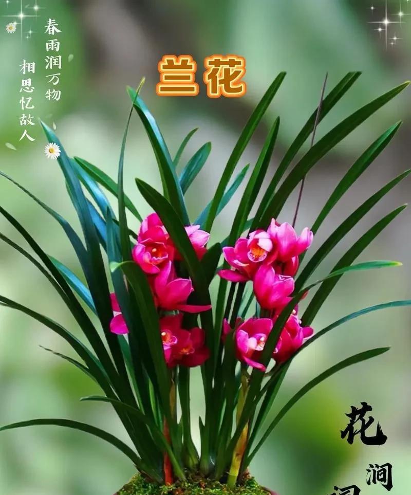天蝎的我的观念里，婚姻是否幸福，并不是单看对方的物质条件、外在形象、身高和体重。