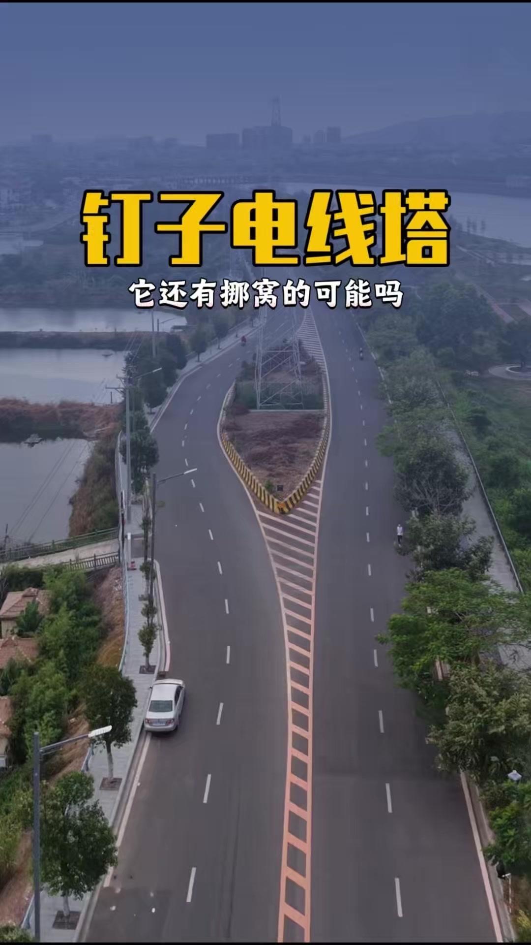 钉子户钉子树不稀奇，可你见过钉子电线杆吗？它霸道地立在路中，将四车道撕开一道口子