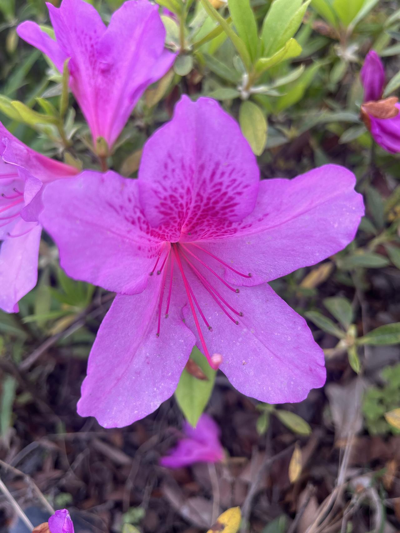 人过50，最好的养生，不是吃补药，而是“养心”很多人一辈子补这补那，到老才明
