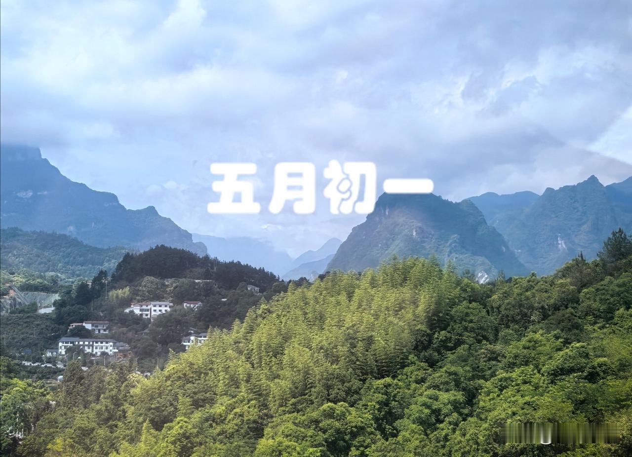 明日五月初一，记得：一不去、二不睡、三不吃，别大意，并非迷信老话讲：艾草垂