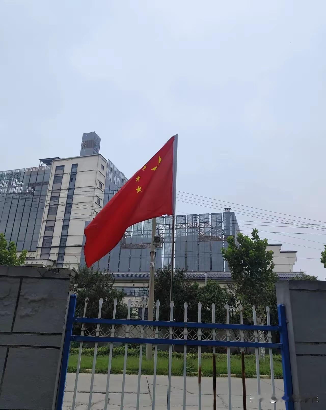 看到荷兰接管安世半导体，我忍了；看到英国制裁11家中国实体，我也忍了；可是看到欧