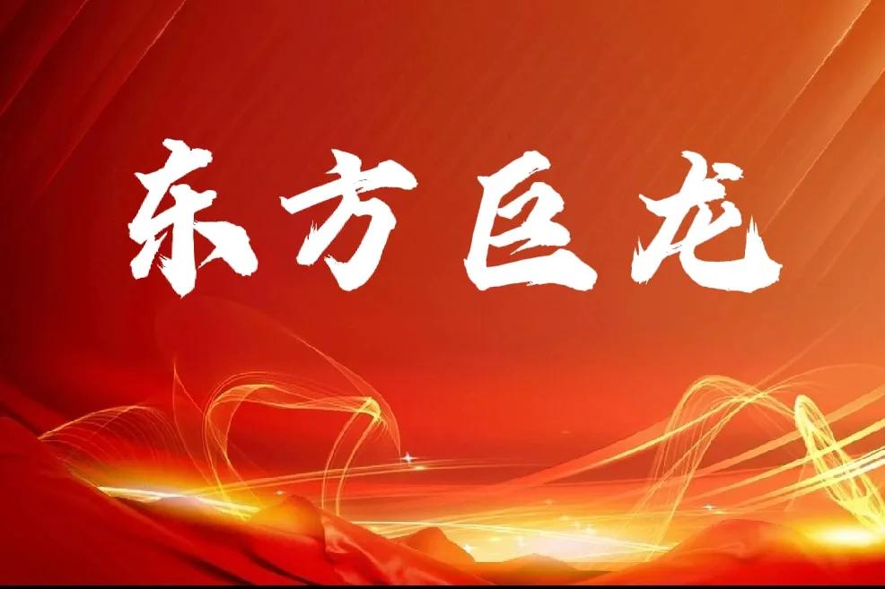 东方科技巨龙！1、2月17日民营企业家座谈会释放出什么信号？1）D