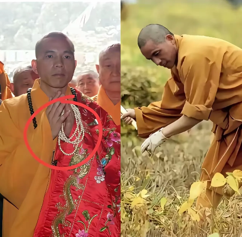 按少林寺新方丈这么搞，估计不到一年，少林寺的和尚就得全跑光了！因为他现在弄的这些
