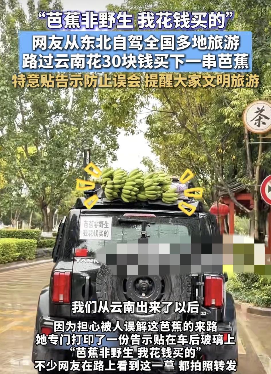 来自东北的一女孩与朋友一起自驾游，从新疆来到西藏，又从西藏去到了云南，来到云南发