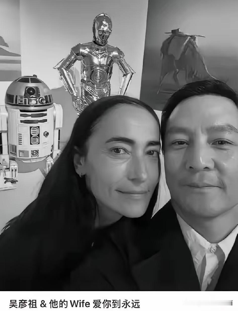 吴彦祖曾说过，他有十年没有碰过他的老婆了。一开始大家都不理解他的这句话，直到看