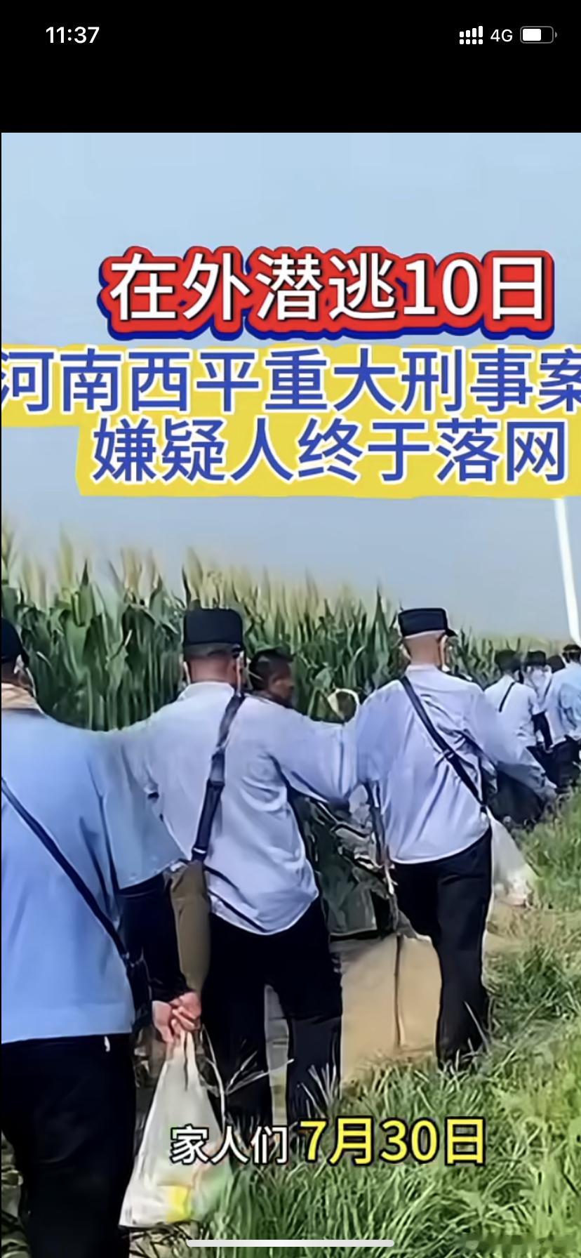 案例分享【网络评论要注意了】