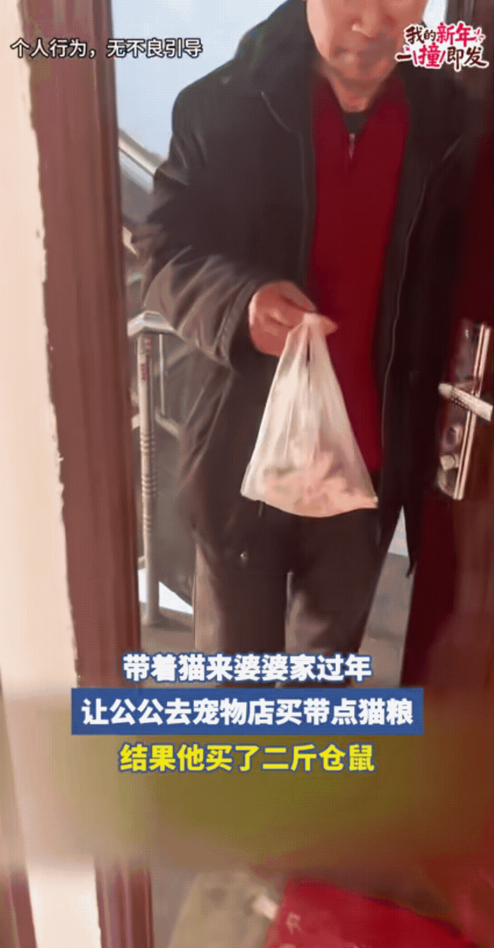 笑不活了！过年回婆家忘带猫粮，让公公去买，结果半小时后，公公拎着一兜仓鼠回来了，