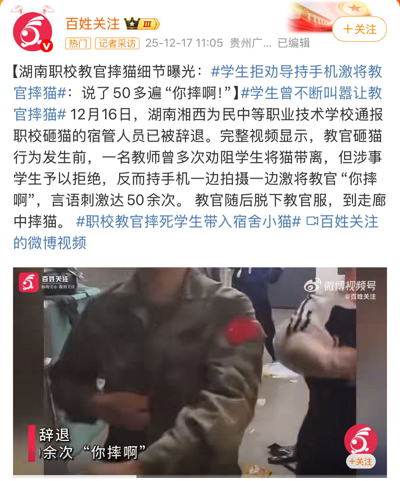 网友总结的还是很到位：犟种熊孩子和易怒的教官与无辜的猫的故事……作为养猫的人，说