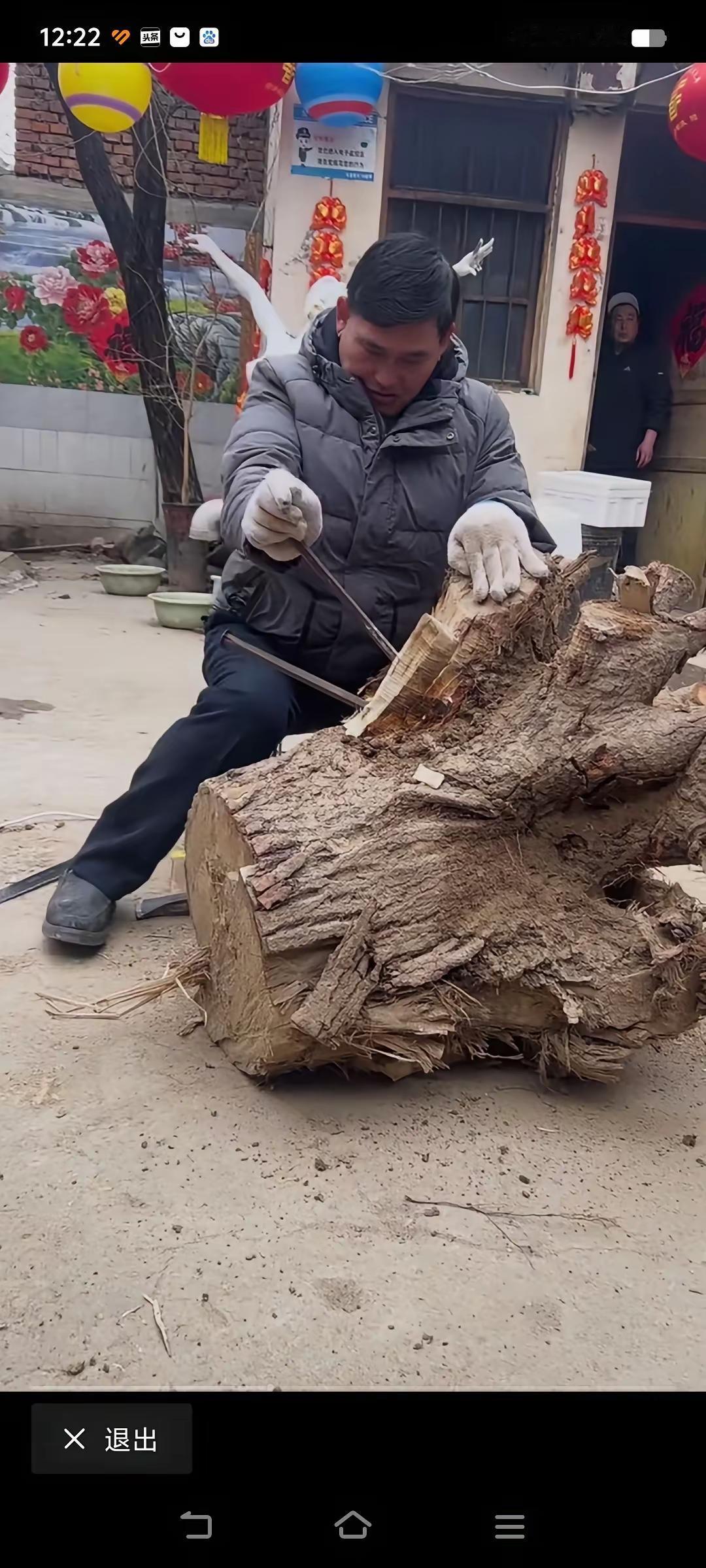 朱之文头顶的头衔都快装不下了，这不又成了“根雕大师”了。大衣哥弄这么大树根干什么