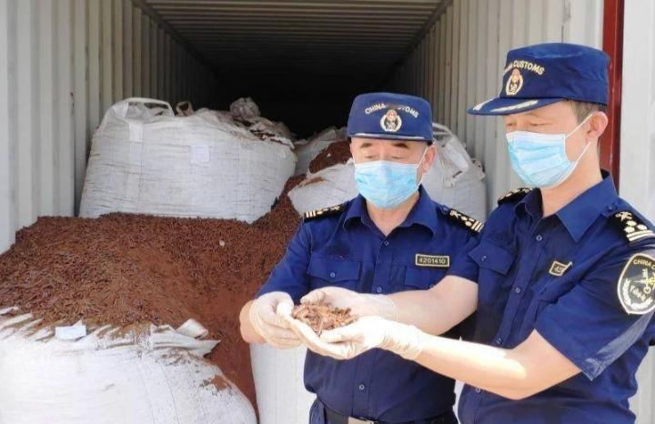 老美和小日子为了稀土快抓狂了大家有没有发现，目前除了咱们中国，