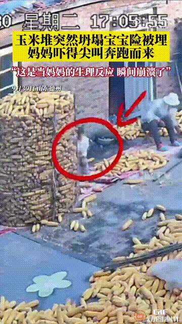 山东德州一个孩子在院子里玩耍时，不慎弄倒了堆起来的玉米，导致被倒下来的玉米压住了