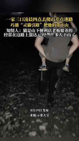 凌晨四点，黑漆漆的山里冷得要命，一家三口，爸妈带着孩子，说是来看日出，结果迷路了