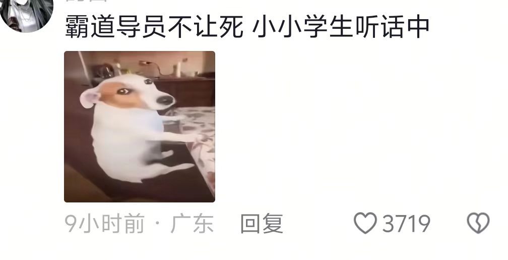 感觉导员也想亖了，但是身份不允许🤣🤚​​​