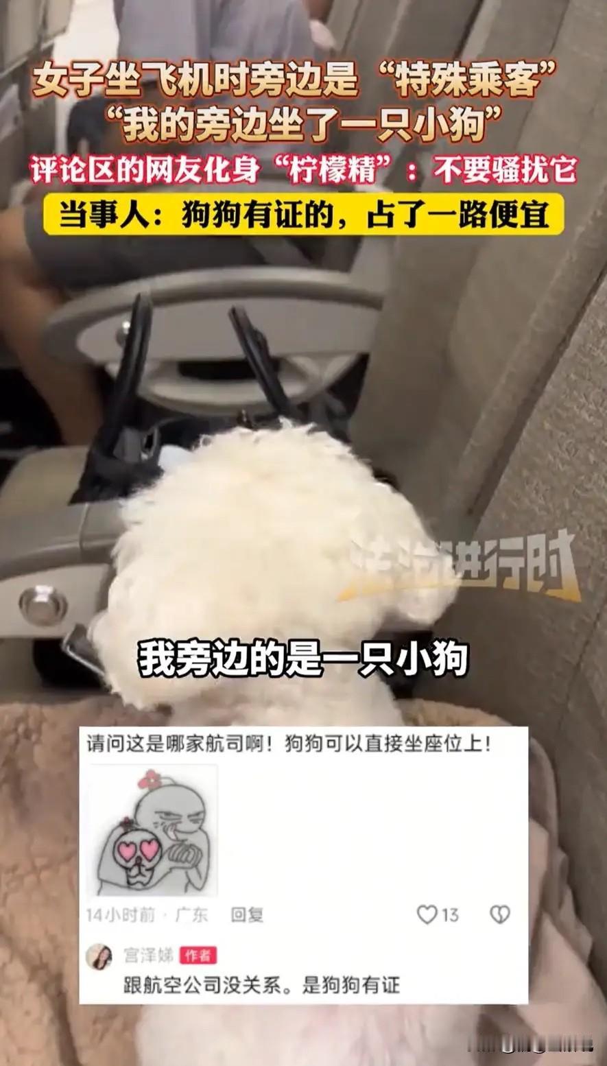 “说出来都没人信！”黑龙江，一女子坐飞机返程，刚上飞机找到座位，空姐就走过来对她