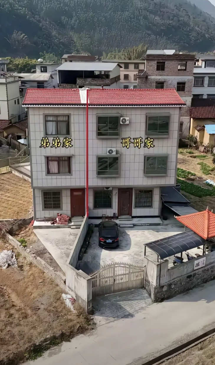哥哥也欺人太甚了！