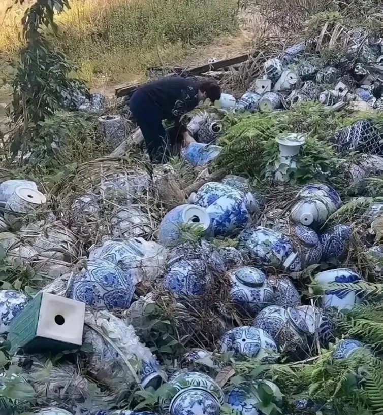 这是不是走狗屎运了？全部弄回家那不是要发了吗？