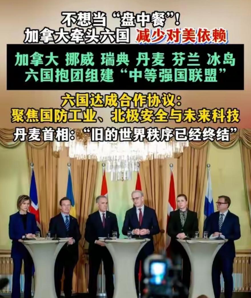 彻底甩开美国！六国抱团组建中等强国联盟3月15日，加拿大总理卡尼牵头，联合芬