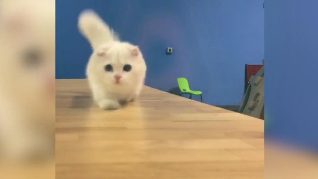 11727481657262727765.jpg?id=0