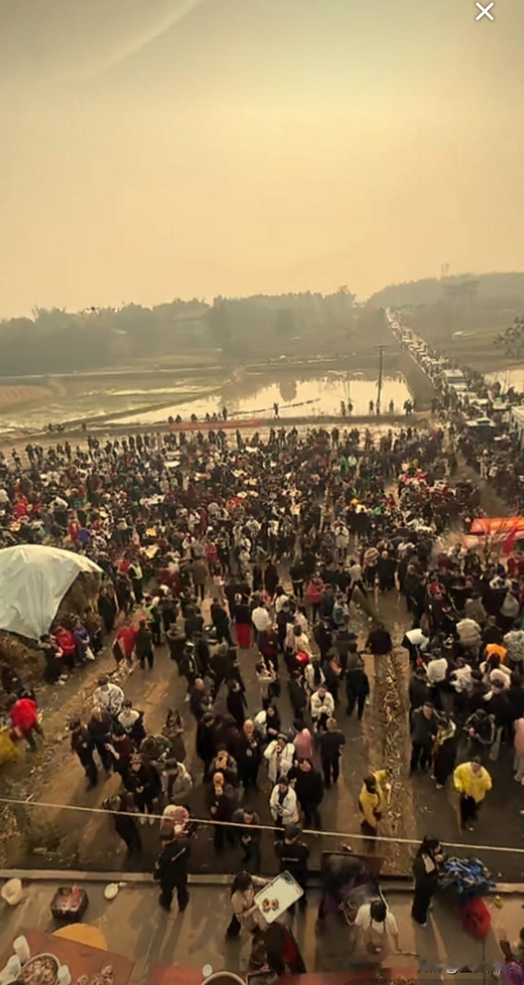 呆呆本来是想找两个人帮忙按猪，结果来了半个重庆。真是一个人带火一座城呀，以前