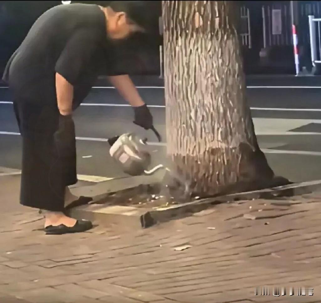刷到一个视频，一个老太连续十四天用开水浇一棵银杏树。邻居一开始还笑着打招呼，