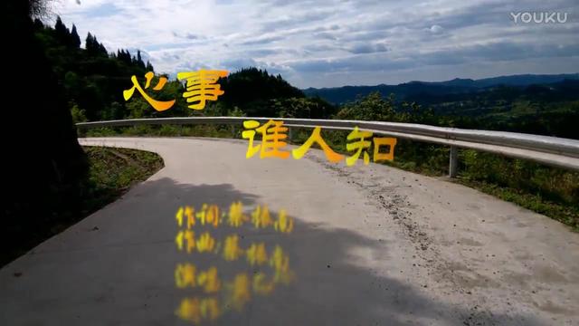 动态二胡曲心事谁人知曲谱_心事谁人知图片