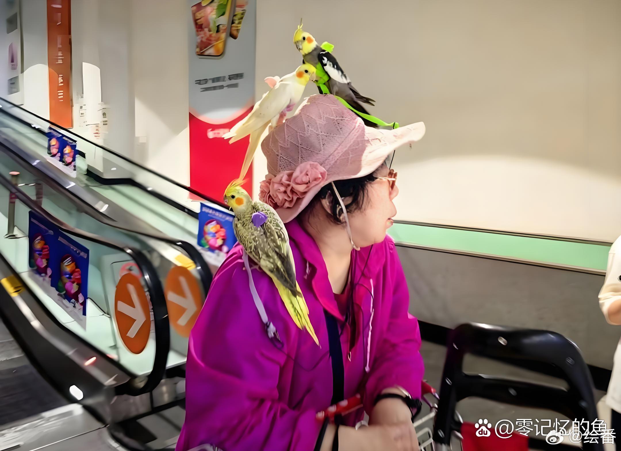 商场里看到一个阿姨的帽子太可爱了，希望老了也可以这么自得其乐