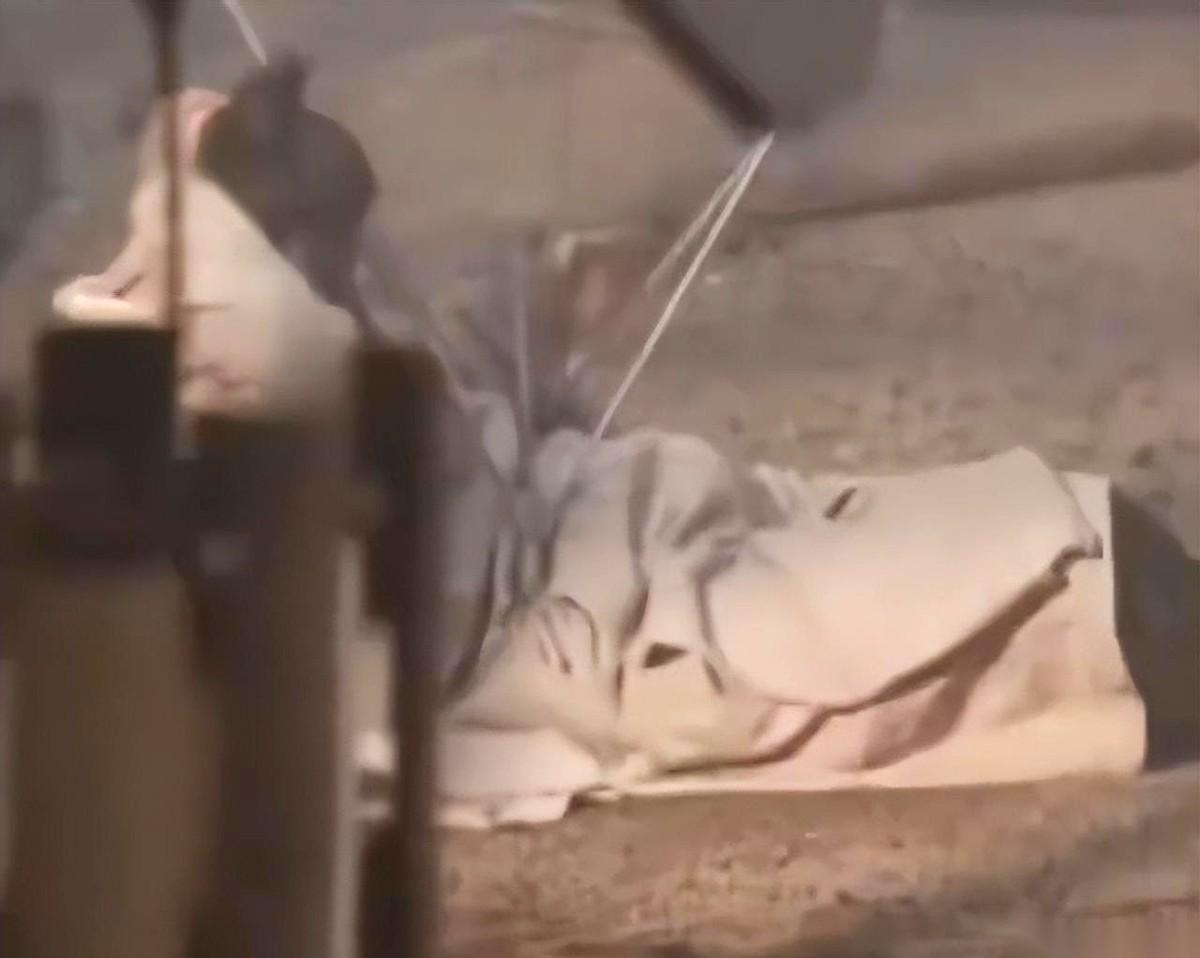 我跟你说，看到那个视频的时候，心都停跳了一拍。人从屋顶上直挺挺掉下来，后脑勺“