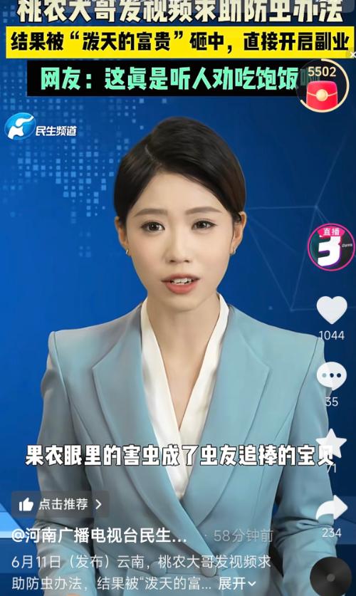 6月11日报道，云南一位果农大哥，因为桃子被成群甲壳虫咬得千疮百孔，急得满头大汗