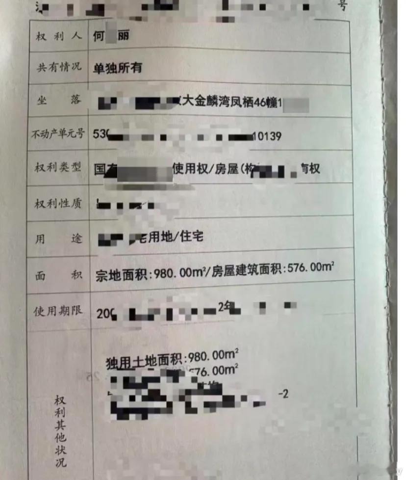 虚假“富婆”人设崩塌！网红“曲靖丽姐”涉刑案被查，百万豪车与别墅均为租赁开百万路