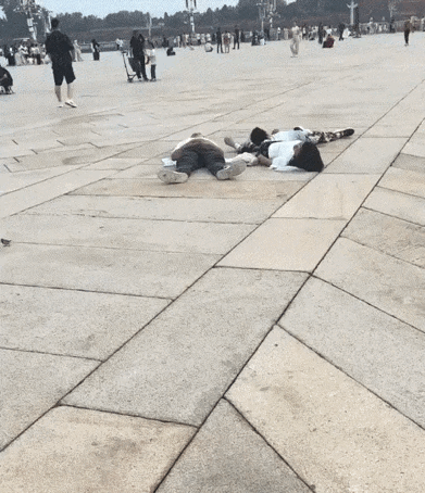 神回复……等你们睡醒的时候，估计升旗仪式也结束了吧！[捂脸哭][捂脸哭][我