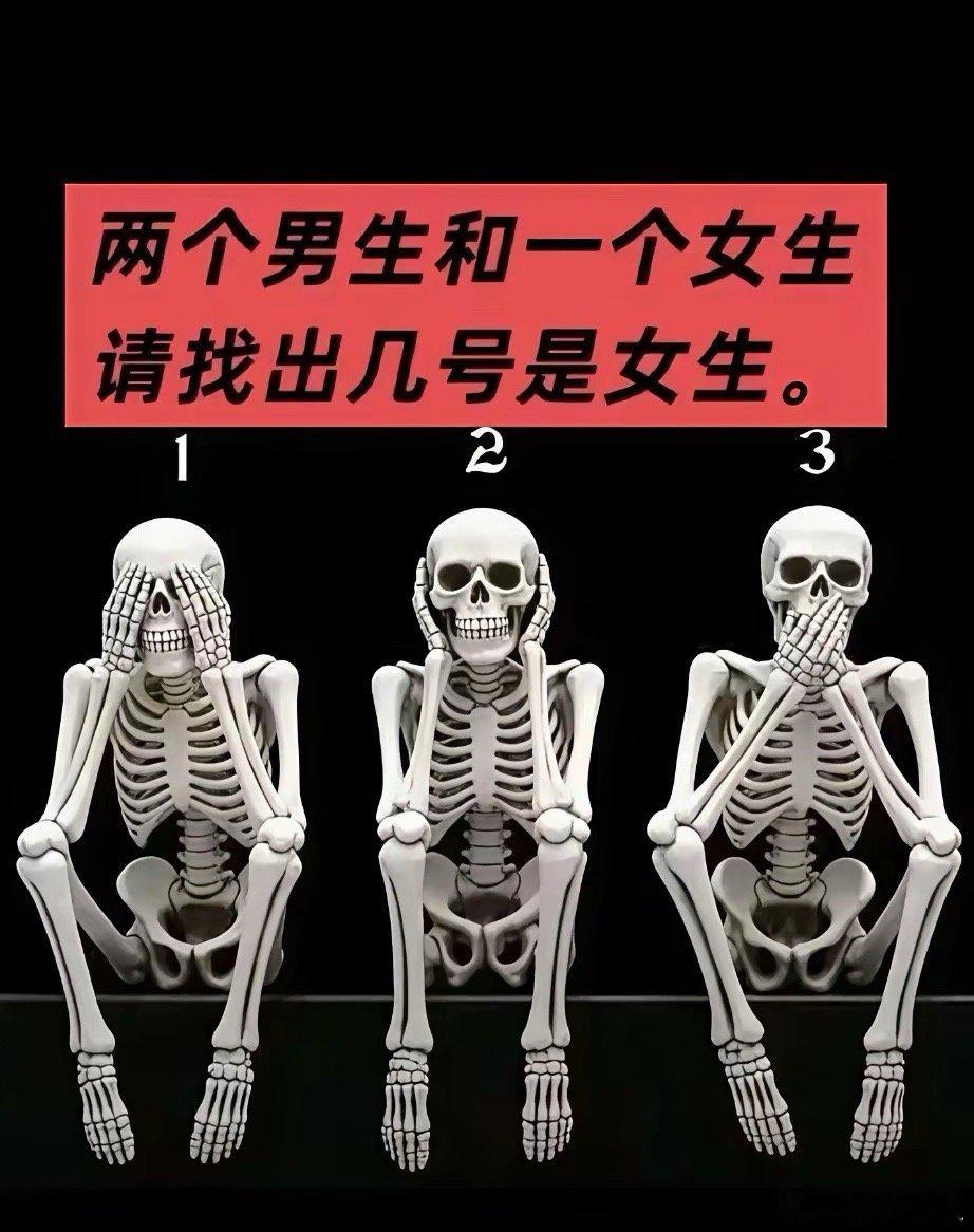 这里有三具骨架，两个是男人的和一个女人的，你能区分男女吗？哪一个是女人的骨架？有