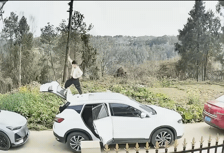后备箱是打开的，后排门是开的，大人呢？他是怎么上去的？在拍视频吗？隔着屏幕都让