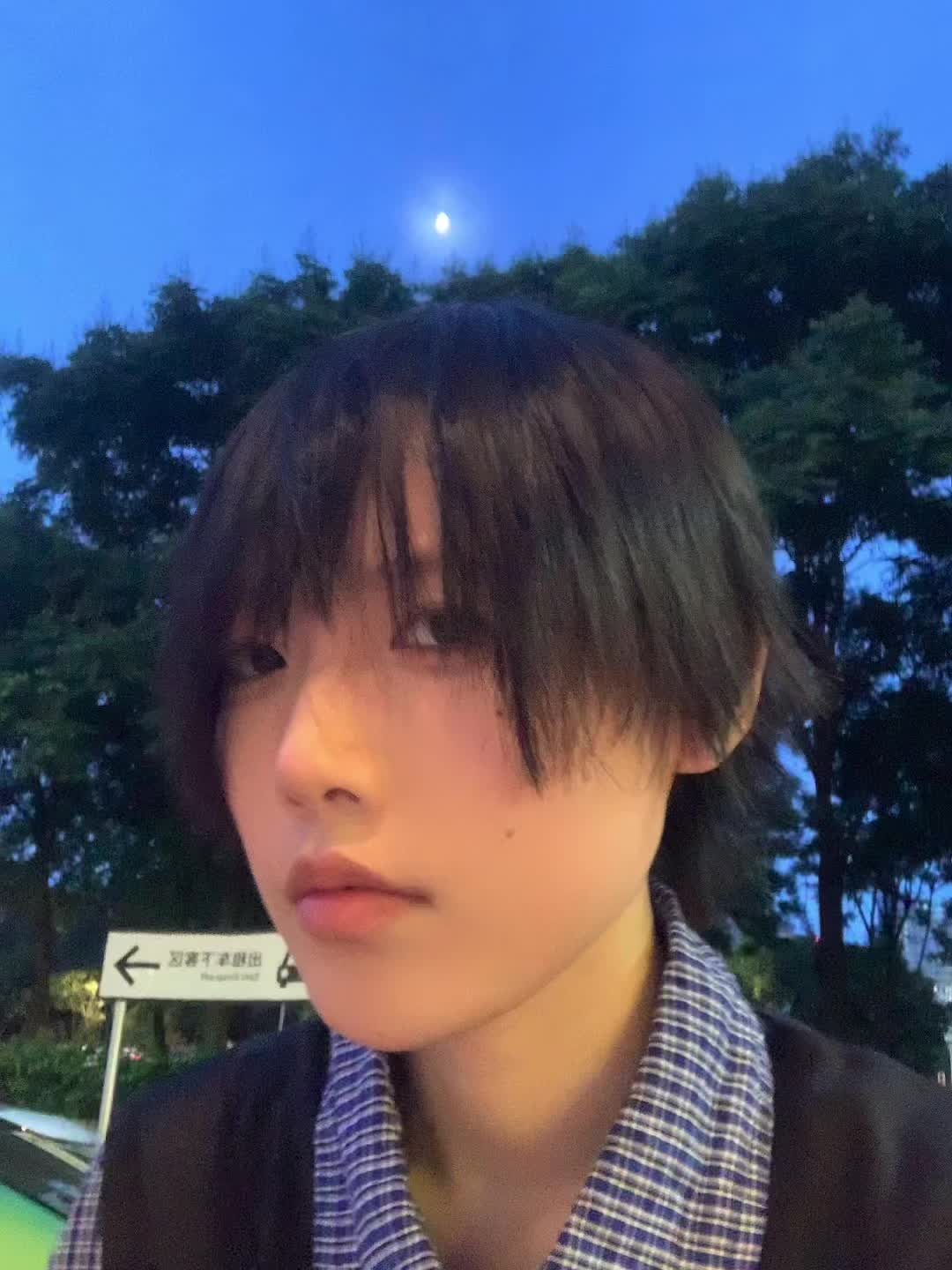 请你看今晚的月亮