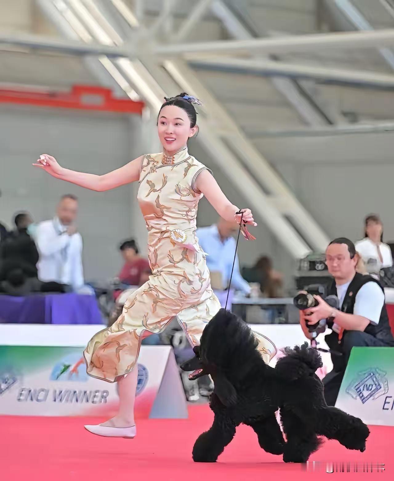 关于霍思燕的狗总能拿冠军的原因，我去扒了一下，不是因为她有钱，更不是靠明星