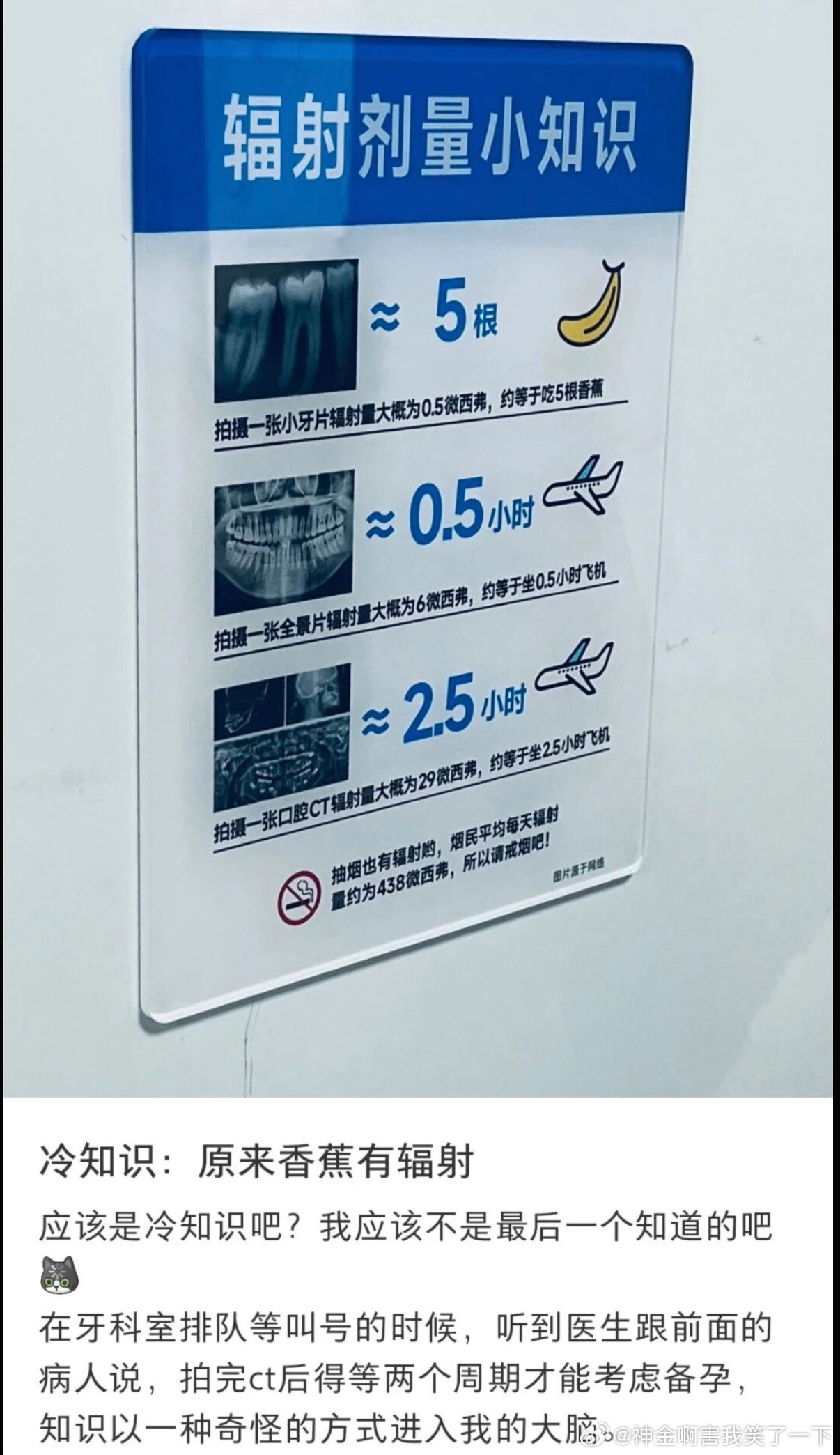 6102冷知识：原来香蕉有辐射