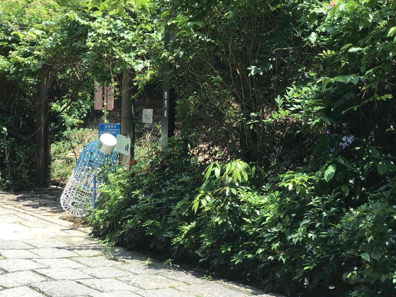 去过那么多城市，除了一个西部的之外，发觉深圳的饮用水最好喝。我在深圳，在家里从来