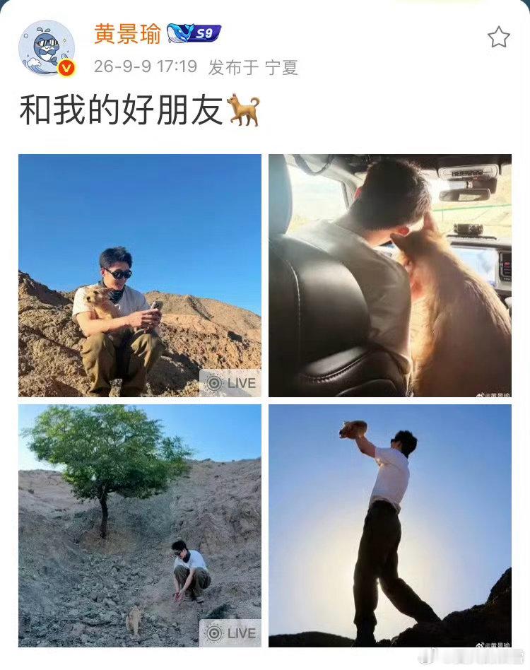 黄景瑜有好朋狗了🪄片场小狗带来满满治愈感，更期待黄景瑜的《觉醒之重启》👖全网